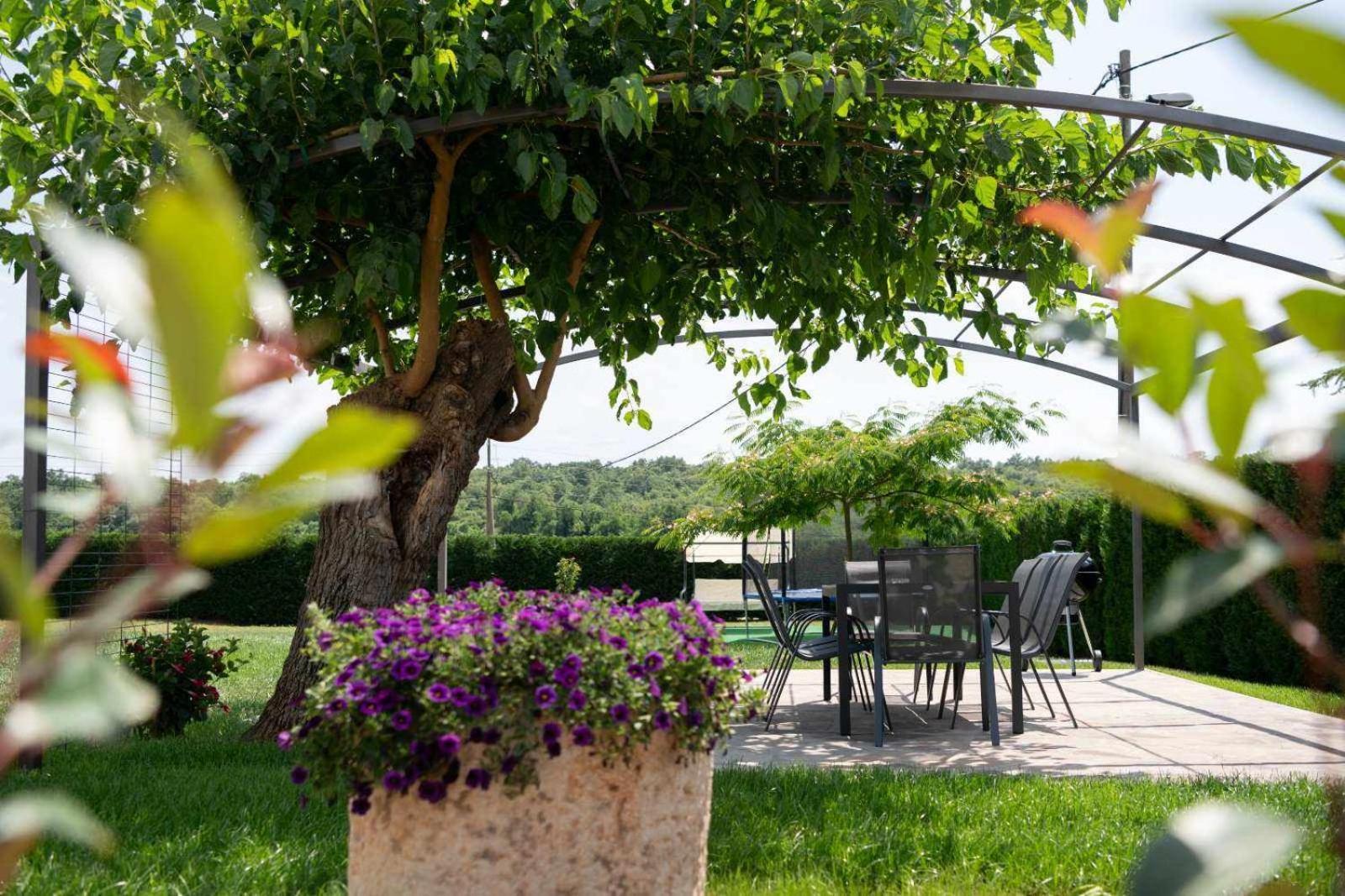 Apartamento Emilia *
